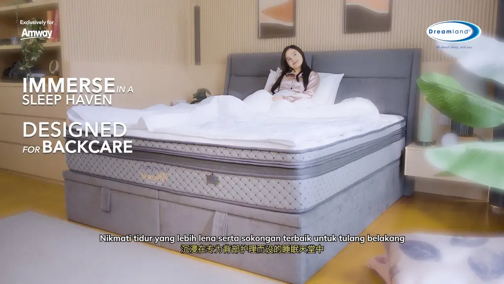 Amway Dreamland Image 5