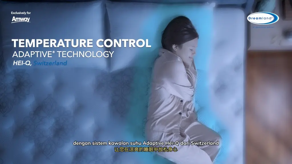 Amway Dreamland Image 6